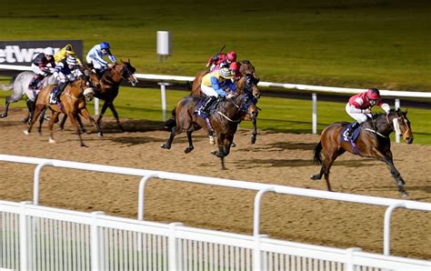 Best Bets & Tips for Wolverhampton Horse Racing from Timeform.